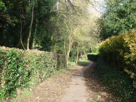 Washingborough-Heighington path through the woods